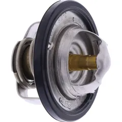 Thermostat (orig spare part) 1WS1241000