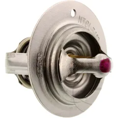 Thermostat (orig spare part) 1XD1241100
