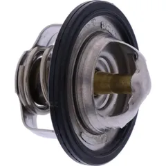 Thermostat (orig spare part) 47X1241100