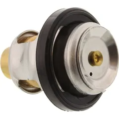 Thermostat (orig spare part) 4BA1241100