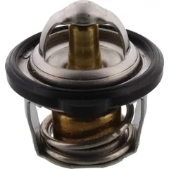 Thermostat (orig spare part) 4D91241100