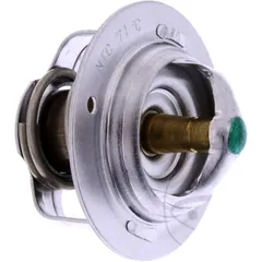 Thermostat (orig spare part) 5VK1241000