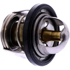 Thermostat Originalersatzteil für verschiedene Modelle