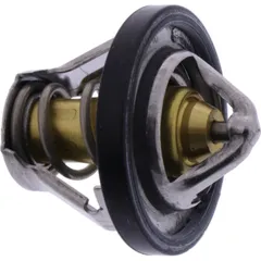 Thermostat (orig spare part) 969424