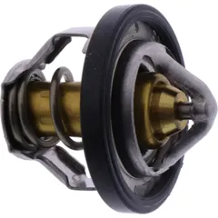 Thermostat (orig spare part)