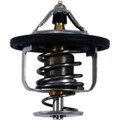 Thermostat All Balls Racing passend für: Polaris General
