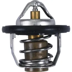 Thermostat all balls racing 163005