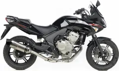 Auspuff Endtopf Schalldämpfer SBK Edelstahl Lv One 8295E