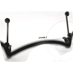 Windshield t.s. puig 9199W