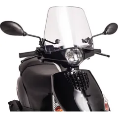 Windshield traffic puig 6534W