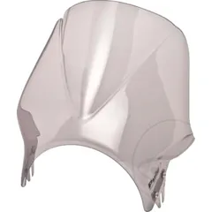 Windshield windy puig 2176H