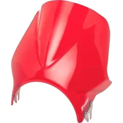 Windshield windy puig 2176R