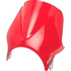 Windshield windy puig 1482R