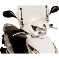 Windshield t.s. puig 5893W