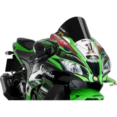 Racing screen puig 9849N