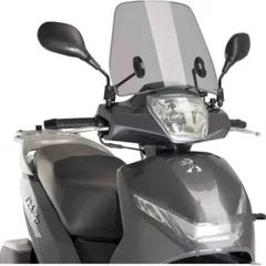 Windshield traffic puig 9967H