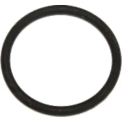 Dichtring FPM ID