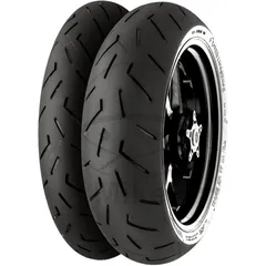 160/60ZR17 (69W) TL rear 980518