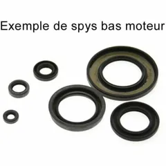 CENTAURO Oil Seal Set for Honda SH300