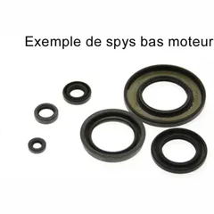 CENTAURO Satz Simmerringe für Kawasaki KX250
