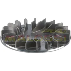 Malossi Ventilvar for: Yamaha X-Max 125 fixed back plate for Malaguti, Benelli