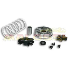 MALOSSI Multivar Variator - for: Kymco for AGILITY50, DINK50, DINKCLASSIC50 Aeon COBRA50
