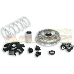 MALOSSI Multivar 2000 Variator - for: Suzuki for UC125EPICURO, UH125BURGMAN, UX125SIXTEEN