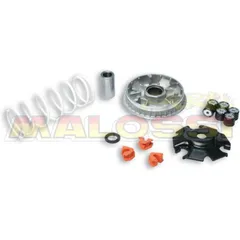 MALOSSI Multivar 2000 Variator for Kymco DOWNTOWN/SUPERDINK125, K-XCT125I, PEOPLE125 Kawasaki J125
