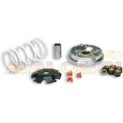 MALOSSI Multivar 2000 Variator - for: Honda 50 ie T4 for NSC50VISION
