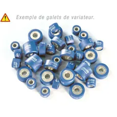 POLINI Variator Rollers Set 25x17mm 14gr - 8 pieces
