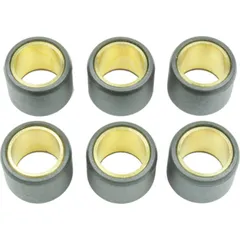 ATHENA Variator Rollers Set 23x18mm 12gr - 6 pieces