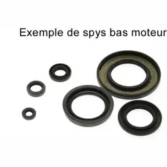 CENTAURO Satz Simmerringe für Honda CRF450R 666A220SR
