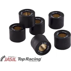 JASIL Variator Rollers Set 16x13mm 5,5gr - 6 pieces