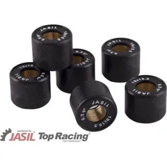 JASIL Satz Variomatrollen 19x15,5mm 6,5gr - 6-teilig für Piaggio, Aprilia, Derbi