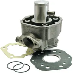 TECNIUM Cylinder Kit - for: Derbi Euro 2 for Gilera GSM50, RCR50, SMT50 GPR50, SENDA50