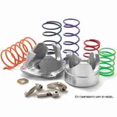 EPI Sport Utility Clutch Upgrade Kit for: Polaris RZR 900