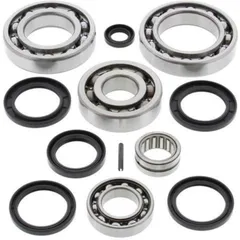All Balls Kit Differentiallager & Dichtungen für Kawasaki KVF650I hinten KFX700, KVF360PRAIRIE, KVF650BRUTEFORCE