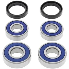 ALL BALLS Wheel Bearing Kit 25-1646 for BMW F650GS