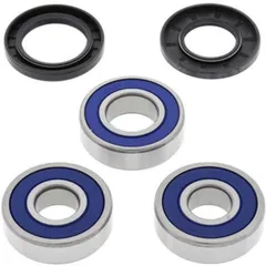 ALL BALLS Rear Wheel Bearing Kit for: Kawasaki for Kawasaki NINJA1000SX, VERSYS1000, Z1000