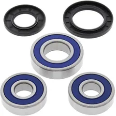 ALL BALLS Rear Wheel Bearing Kit for: Kawasaki for Kawasaki NINJAZX-10TOMCAT, ZRX1100
