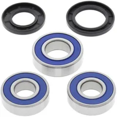 ALL BALLS Rear Wheel Bearing Kit for: Suzuki XF650