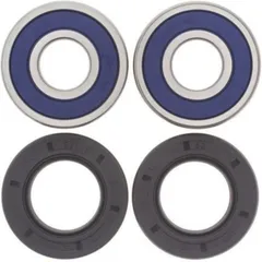 ALL BALLS Front Wheel Bearing Kit for Indian, Honda, Kawasaki