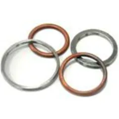 EG für: Gas Gas END 250/300 F2002 97-03