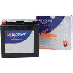 TECNIUM Wartungsfreie Batterie Werkseitig aktiviert - BT14B-4 für Yamaha FJR1300, FZS1000, FZS1000S Hyosung GV650, GV650AQUILA