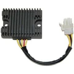 ELECTROSPORT Regler - Can Am DS650X/Baja