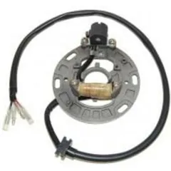 ELECTROSPORT Stator - for: Kawasaki KX125