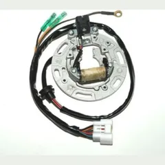 ELECTROSPORT Stator - for: Kawasaki for KX100, KX85