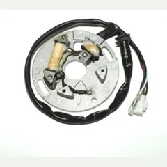 ELECTROSPORT Stator - für: Yamaha für WR250, YZ250