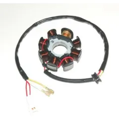 ELECTROSPORT Stator - for: KTM for 250EXCRACING, 250EXC-F, 450EXCRACING Husaberg FE450, FE550, FE650