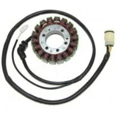 ELECTROSPORT Stator - für Kawasaki ZX12R NINJAZX-12R